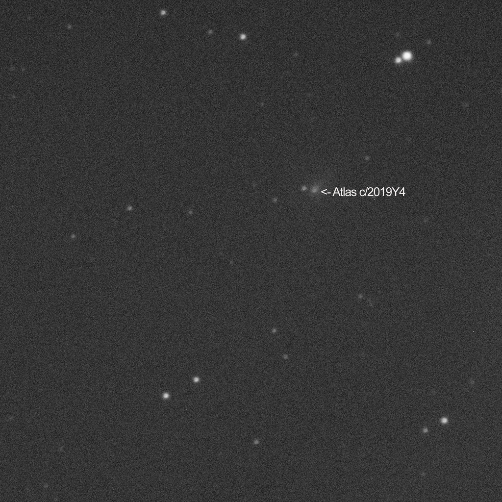 Comet Atlas Y4